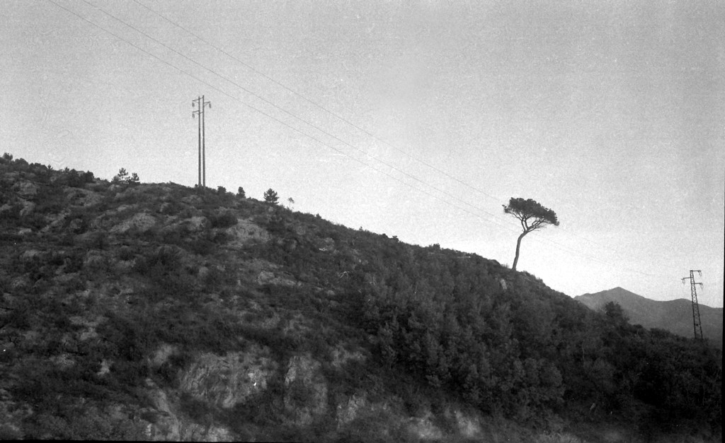 L'intruso