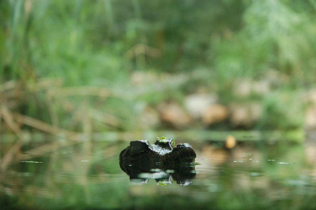Ti tengo d'occhio...
