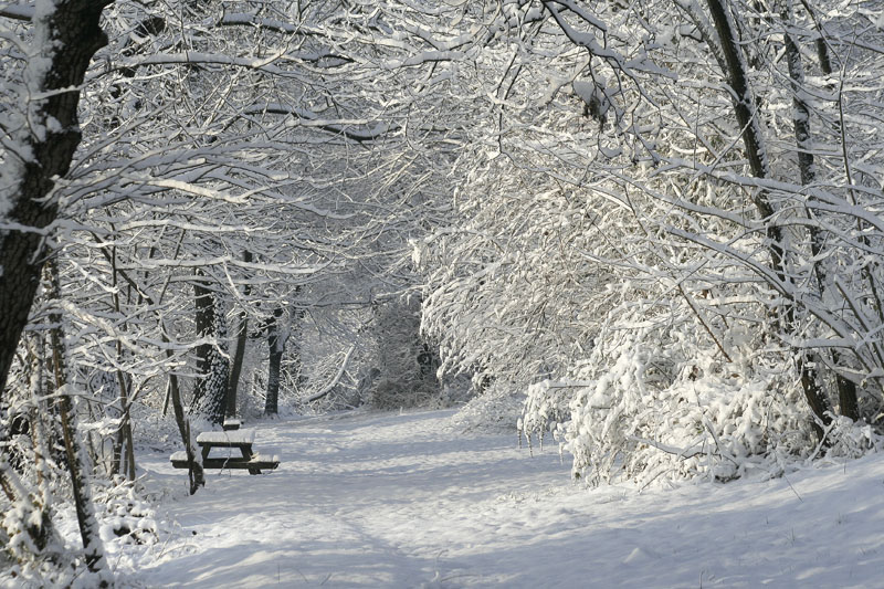 Nevicata
