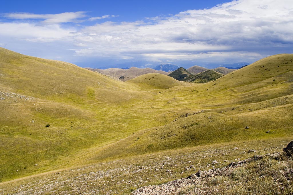 Landscape