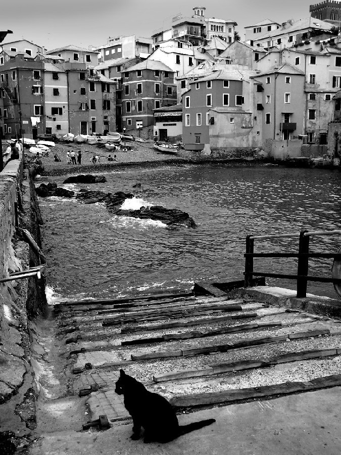 Scorcio