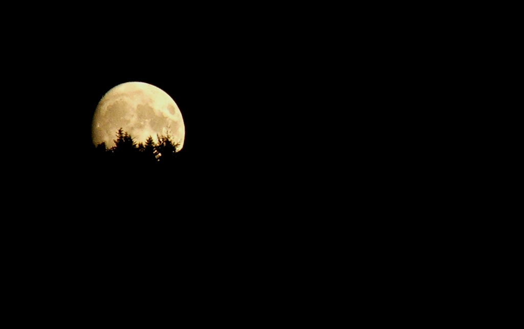 Alba Lunare