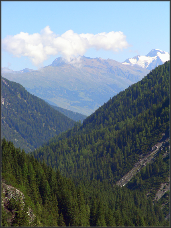 valli1