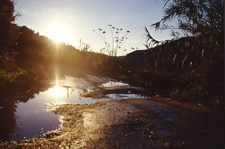 Riflessi