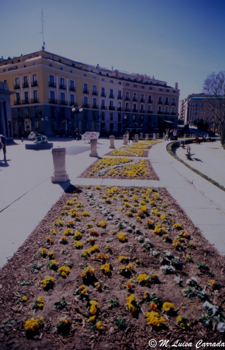 plaza de Espaa