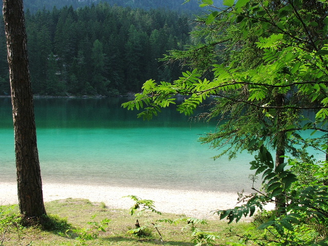 Tonalit di verde - Lago di Tovel - Trentino