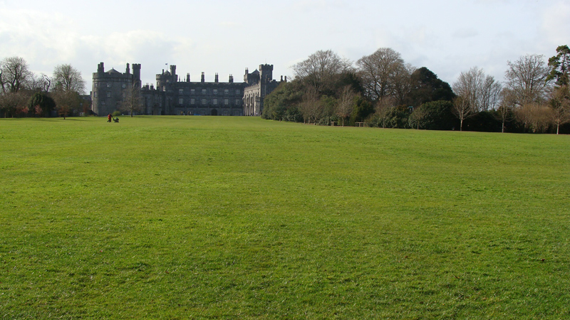 Green grass
