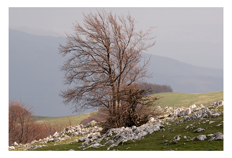 Paesaggio 1