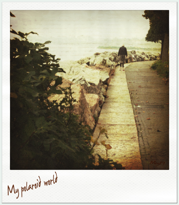 Polaroid World