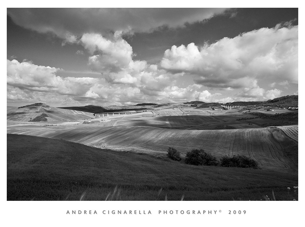 Curve BW
