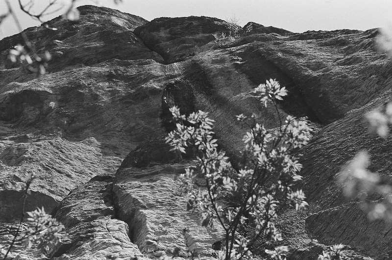 AnalogicheHP5_Domenica_Pietra di Bismantova