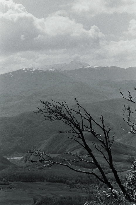 AnalogicheHP5_Domenica_Pietra di Bismantova
