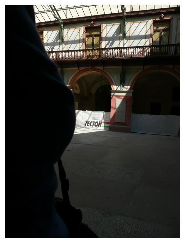Tecton