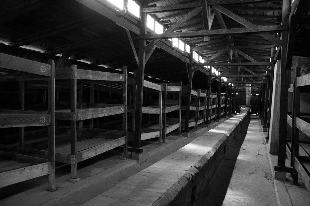 beauty farm 1