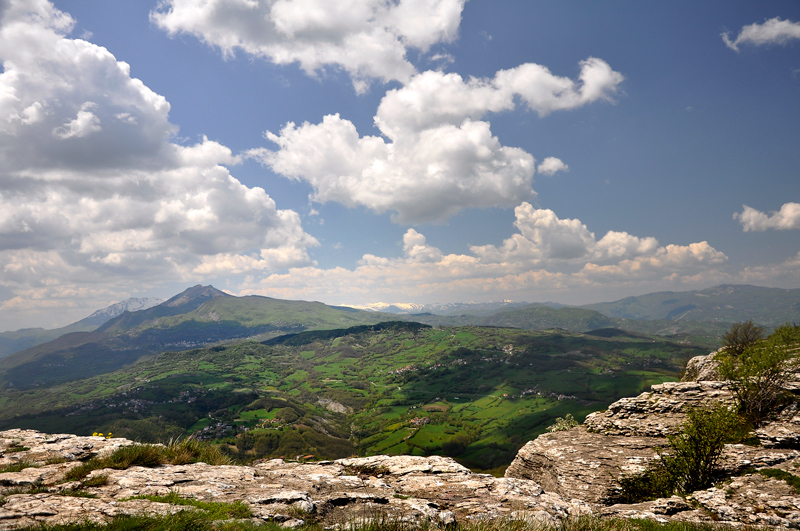 Panoramix