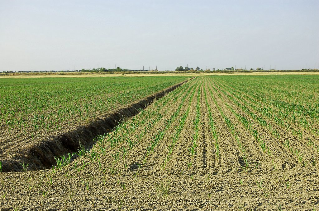 Campagna