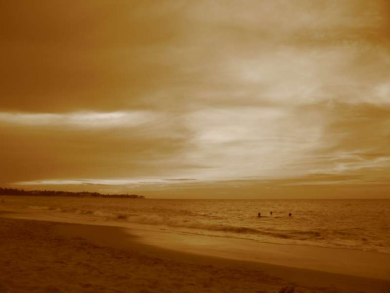 Mare