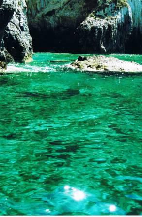 sole nell'acqua