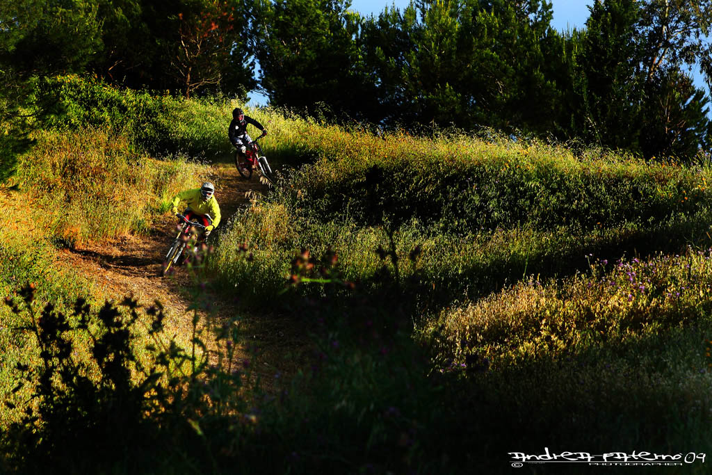 freeride5