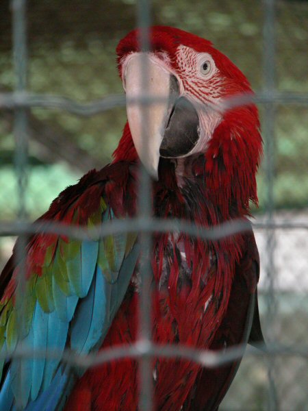 Parco d'Orleans - Palermo
