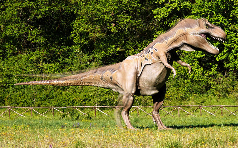 T-REX