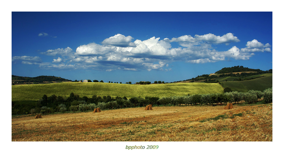...country summer...
