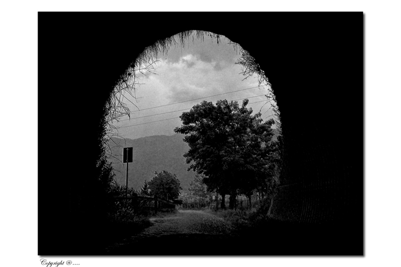 tempo tiranno. . .