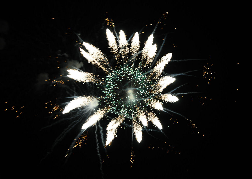 fiore nella notte