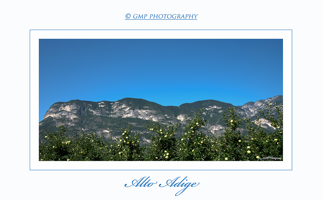 Alto Adige