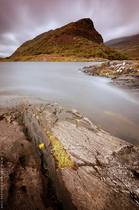 Inquietudine - Killarney National Park