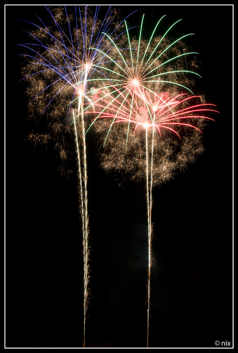Santa viola 2009