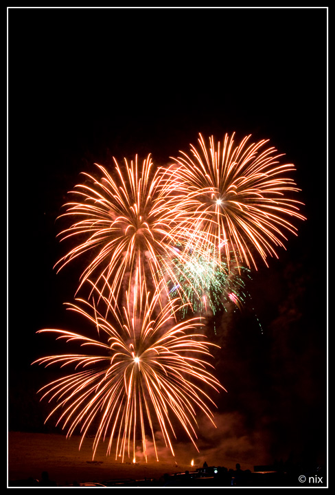 Santa viola 2009