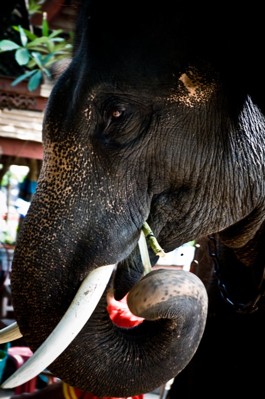 bkk_7