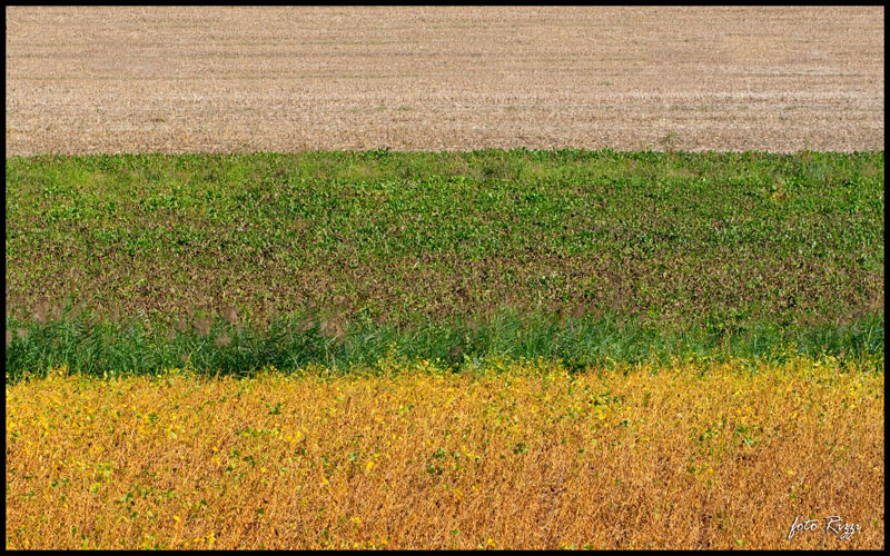 bandiera tricolore