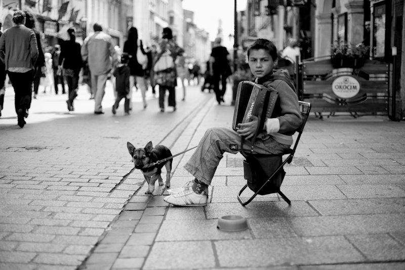 Cracovia #7