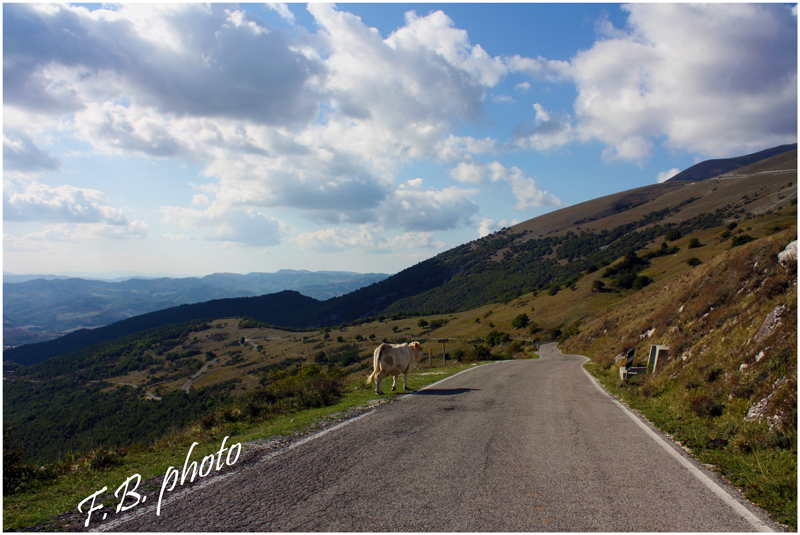 Ospite di strada di montagna