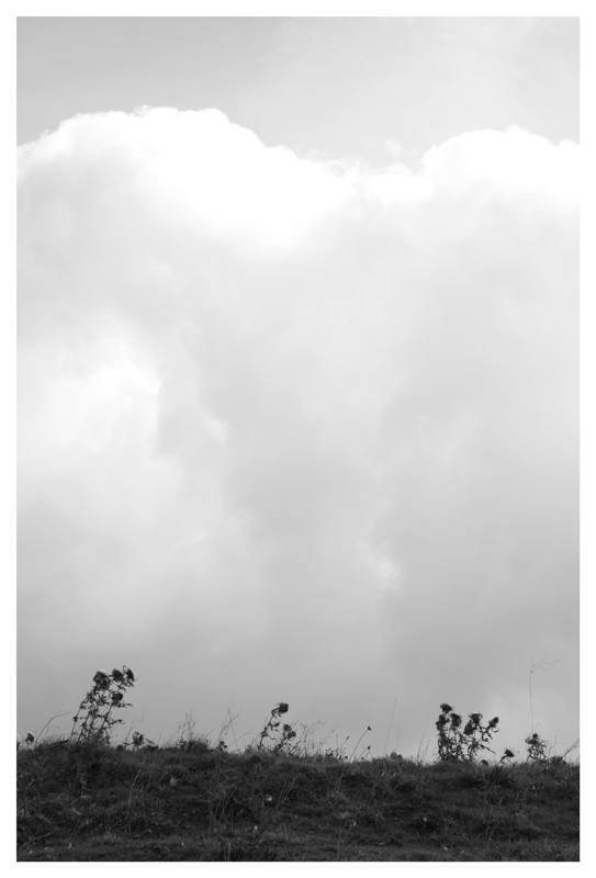 Oltre la collina