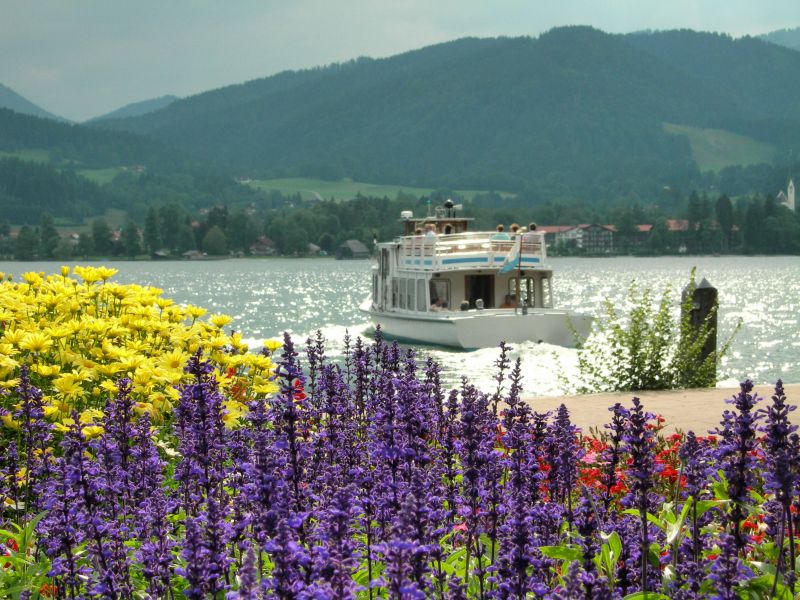 fiori e lago