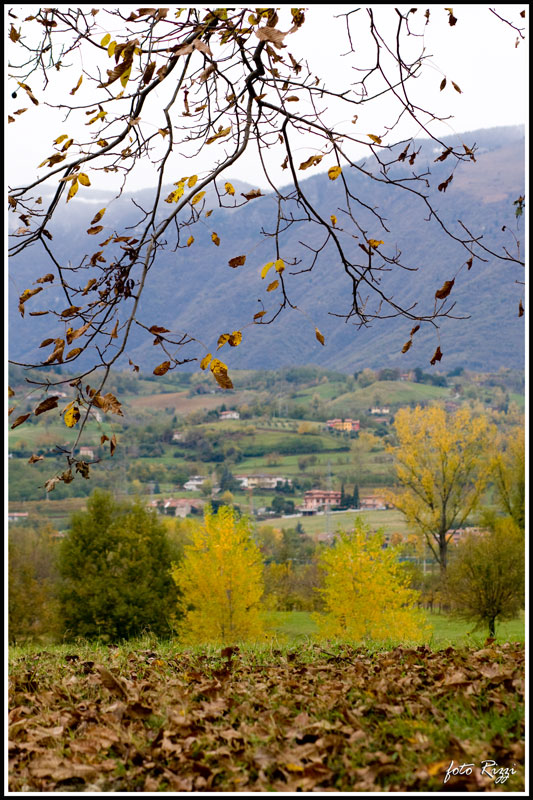 tipicamente autunnale..