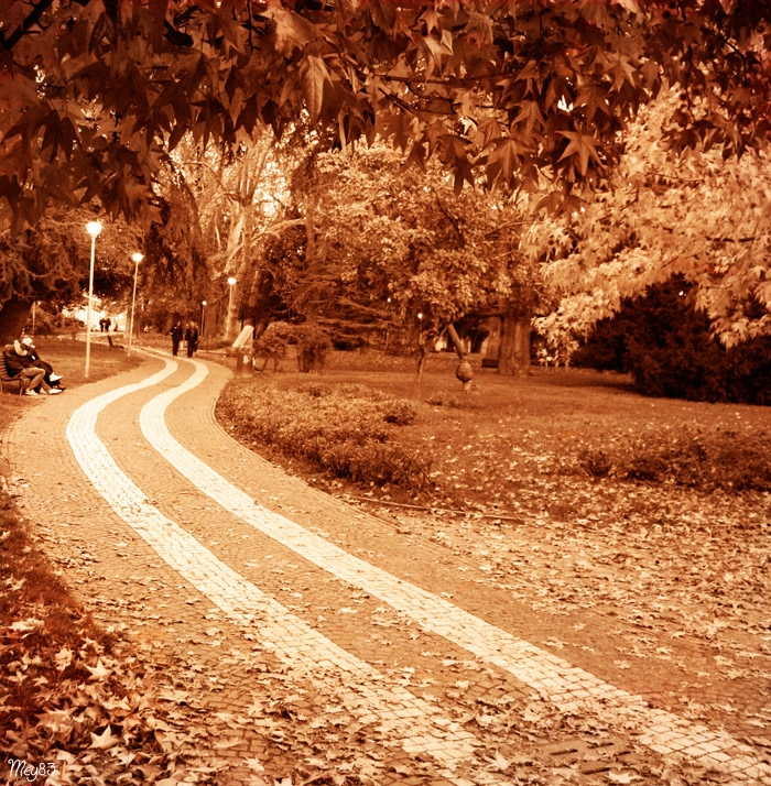 Foglie d'autunno 2