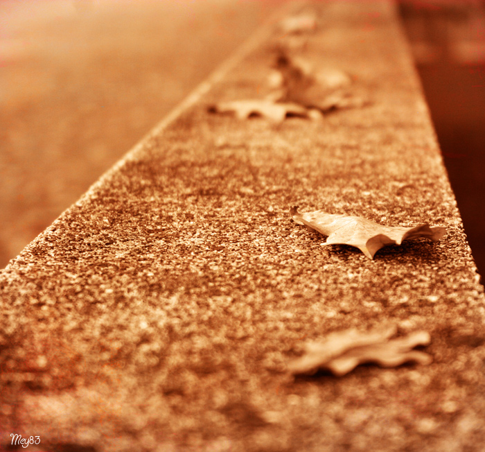 Foglie d'autunno 3