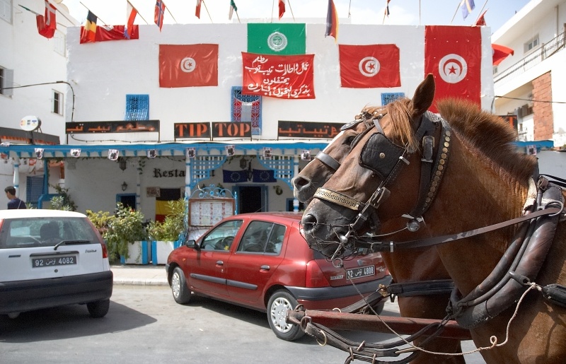 Tunisia 2005