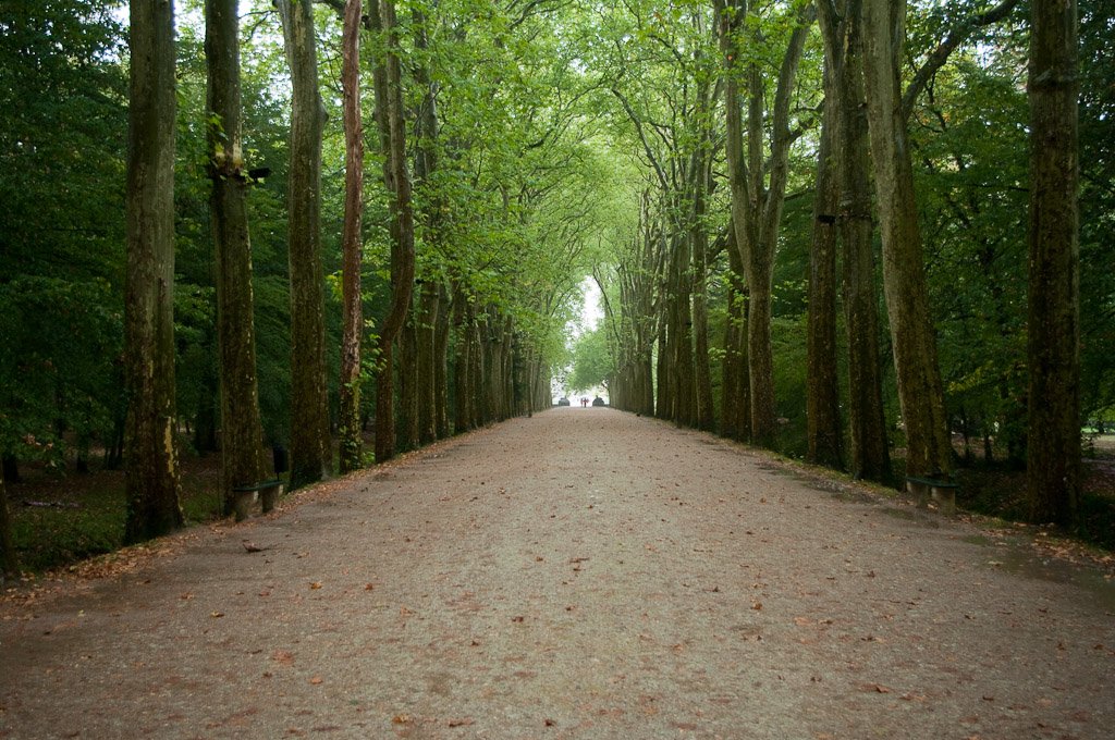 Tunnel verde