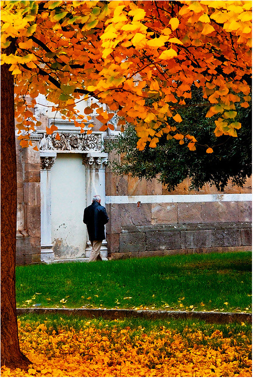 GIALLOlucca