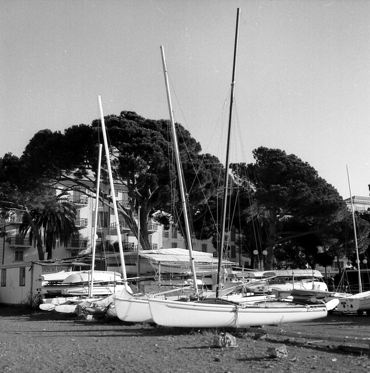 Sestri