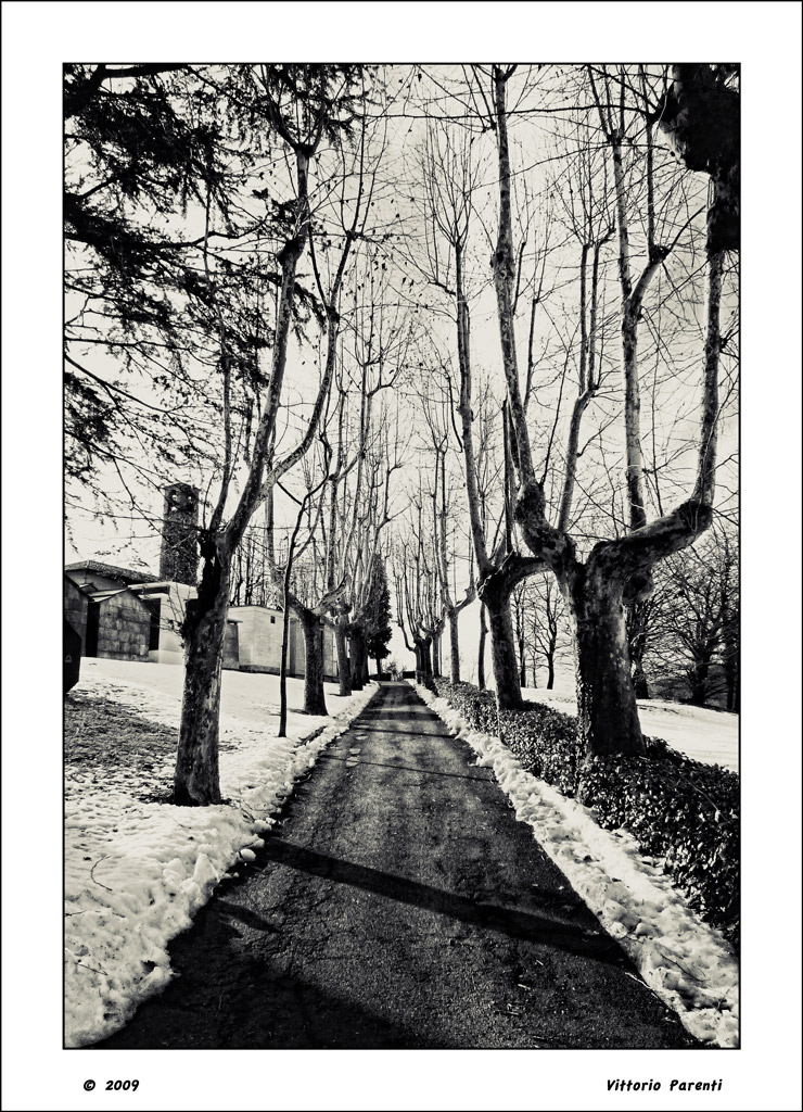VIA DEL CAMPOSANTO