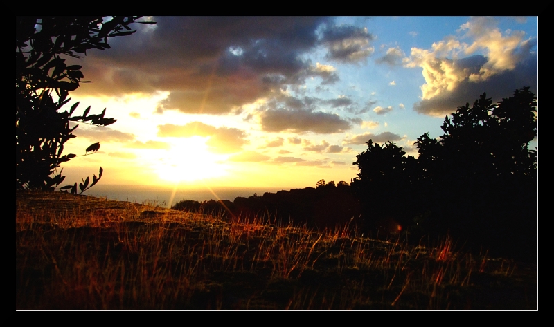 Dal mattoncino.. .. Dal mattoncino.. ..