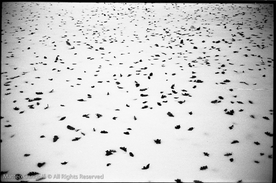 White Carpet