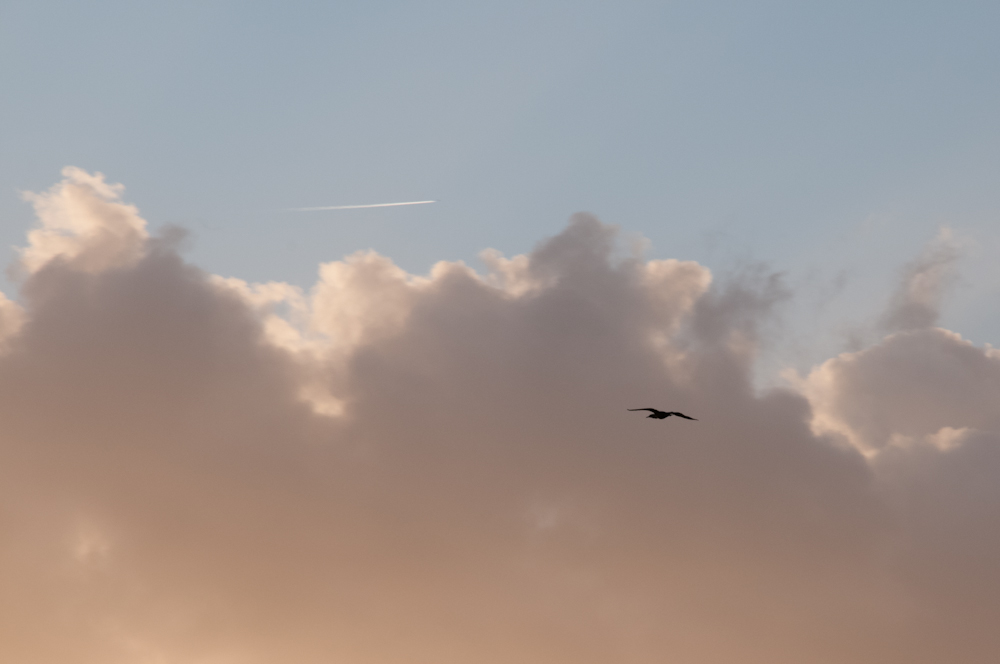 Sunset 2