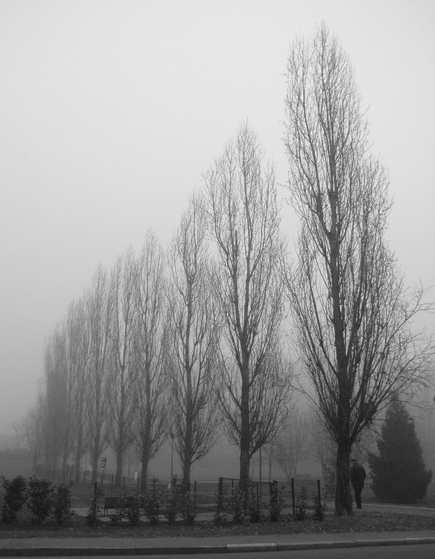 Filari di citta'